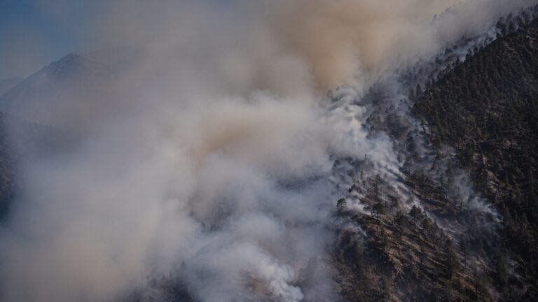 Incendio Calabria