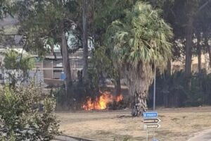 Incendio Molise