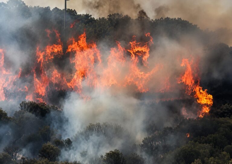 Incendio Orani