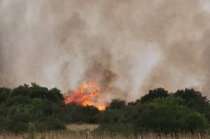 Incendio Puglia