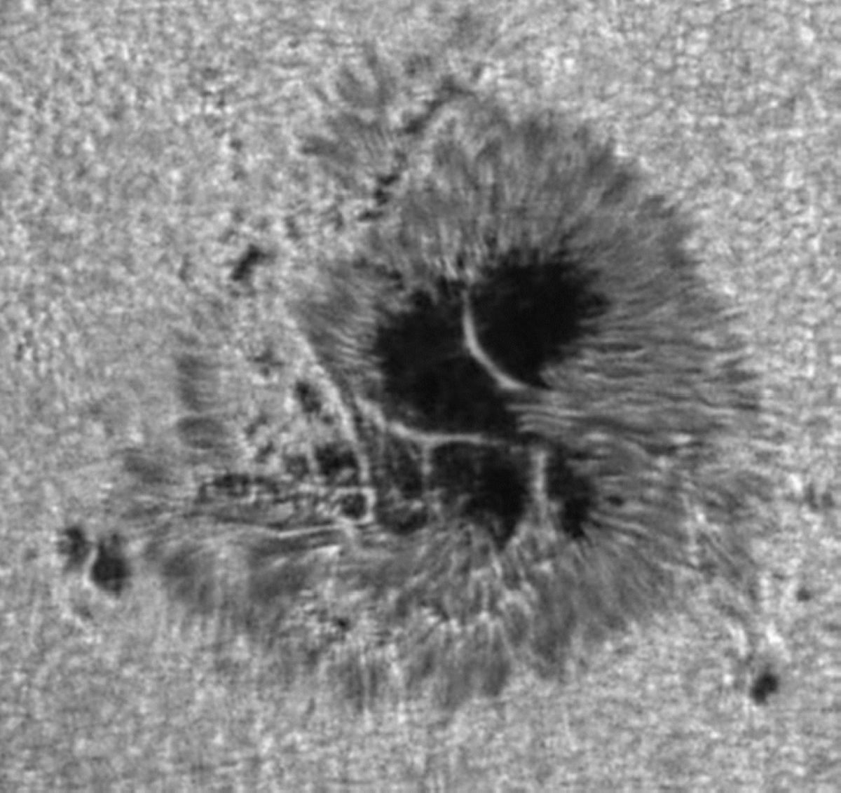Macchia solare