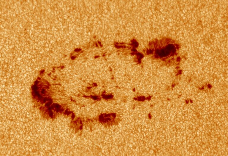 Macchia solare