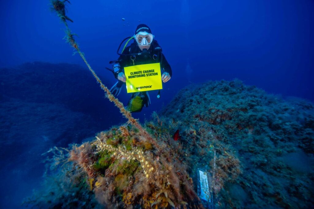 Mare Caldo Greenpeace