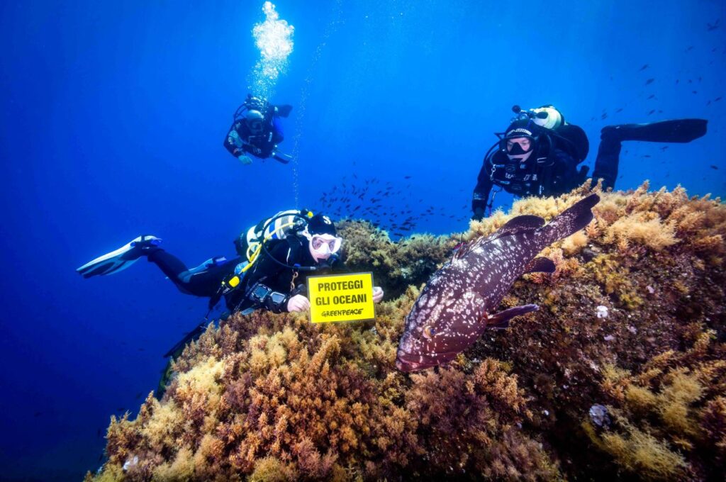 Mare Caldo Greenpeace