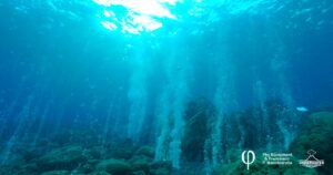 panarea