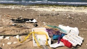 Pesca sostenibile inquinamento plastica