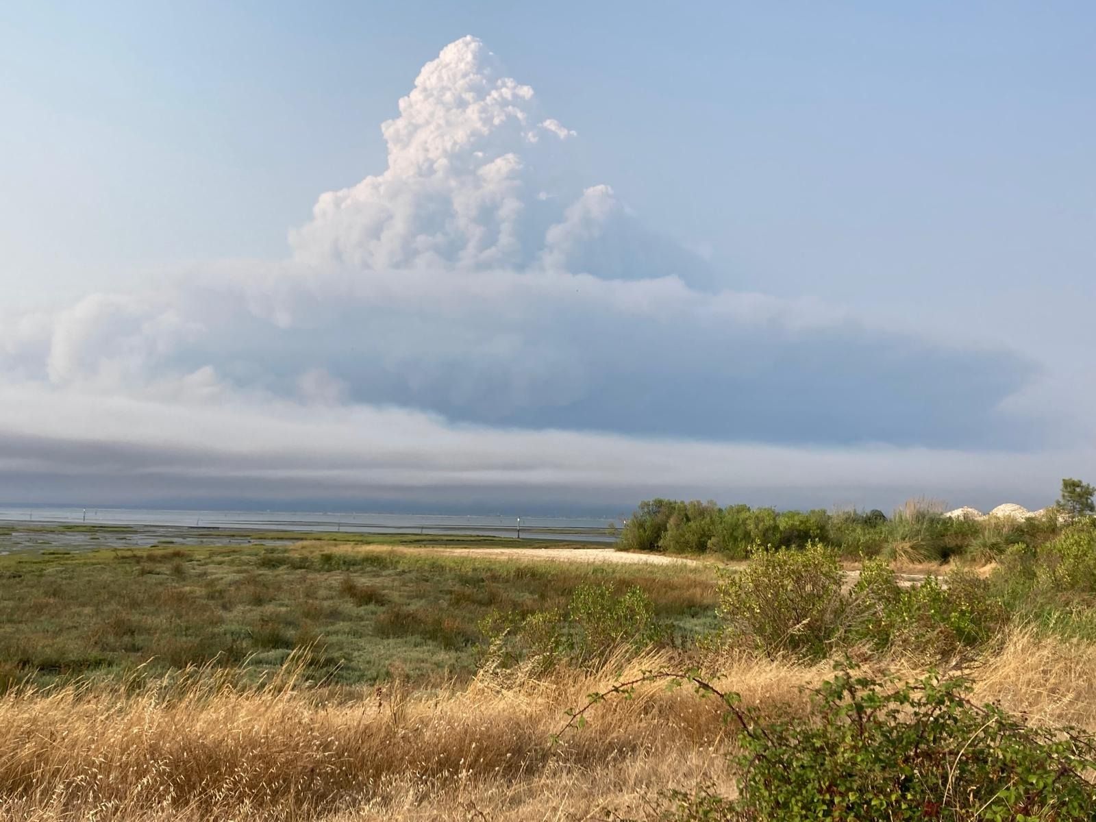Pyrocumulonimbus francia