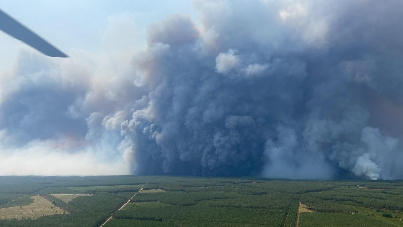 Pyrocumulonimbus francia
