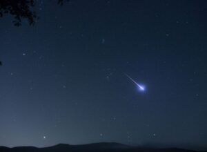 Stelle cadenti