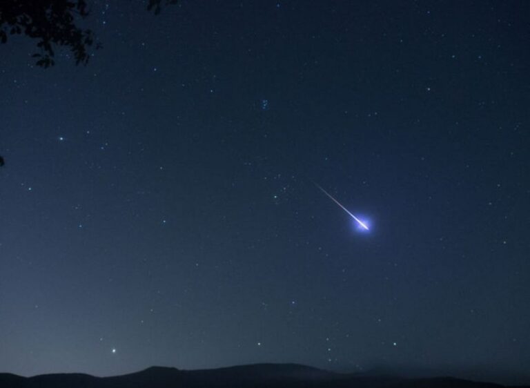 Stelle cadenti