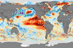 Temperature oceani globali