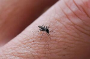 West Nile