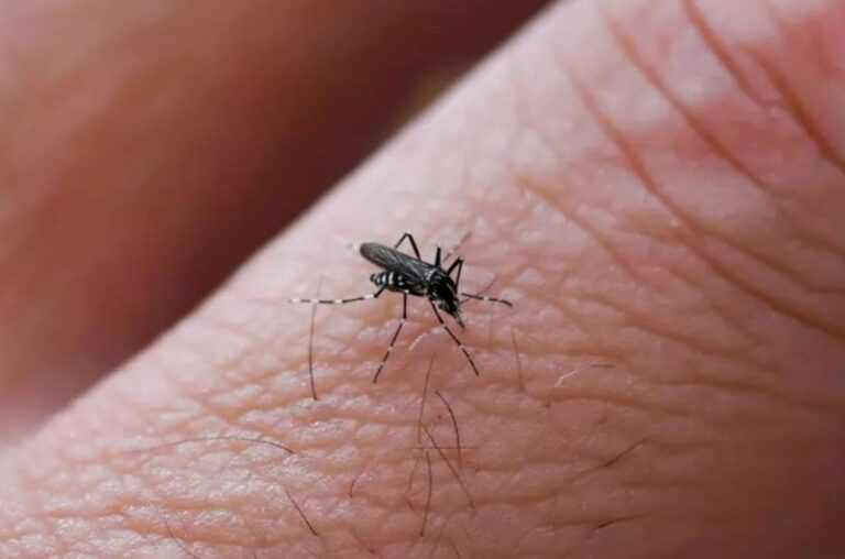West Nile
