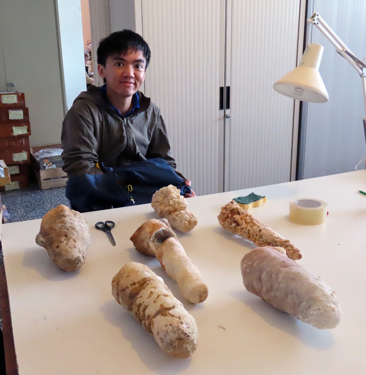 campioni di speleotemi