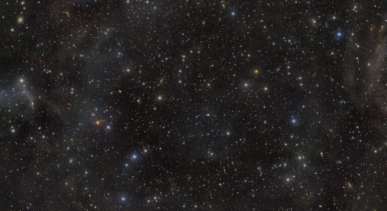 campo cosmos