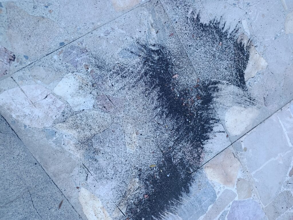 cenere etna zafferana etnea