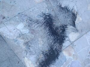 cenere etna zafferana etnea