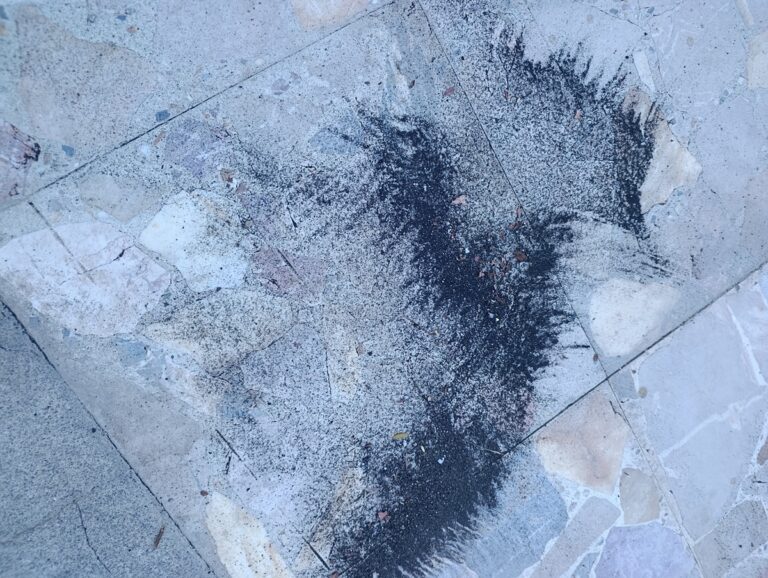 cenere etna zafferana etnea