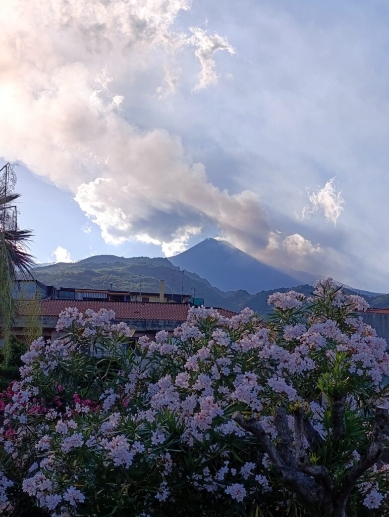 cenere etna zafferana etnea
