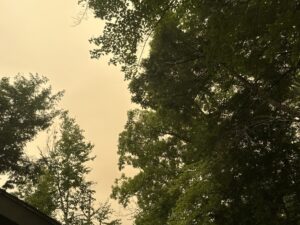 cielo giallo usa canada