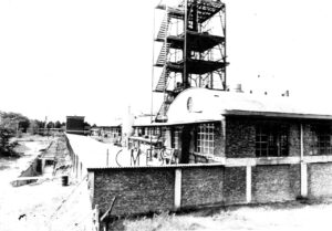 disastro seveso icmesa 1976