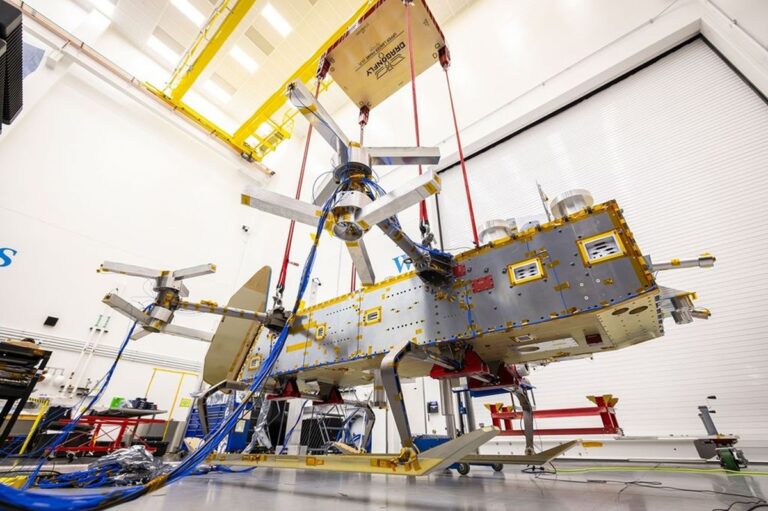 dragonfly