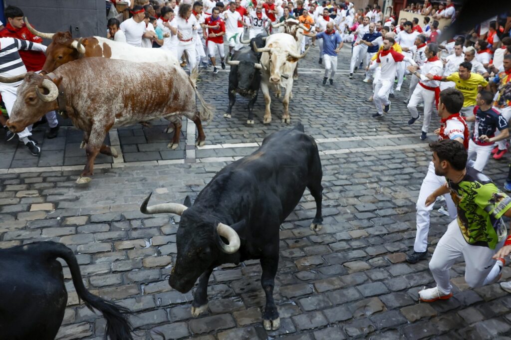 encierro corsa tori pamplona