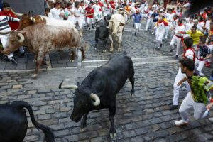 encierro corsa tori pamplona