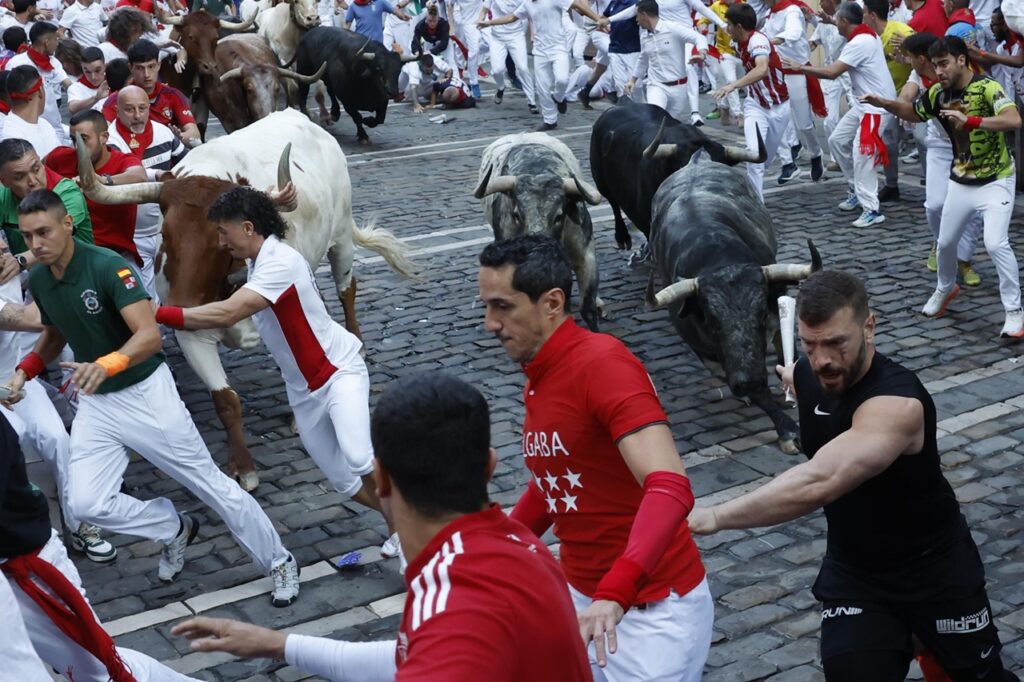 encierro corsa tori pamplona