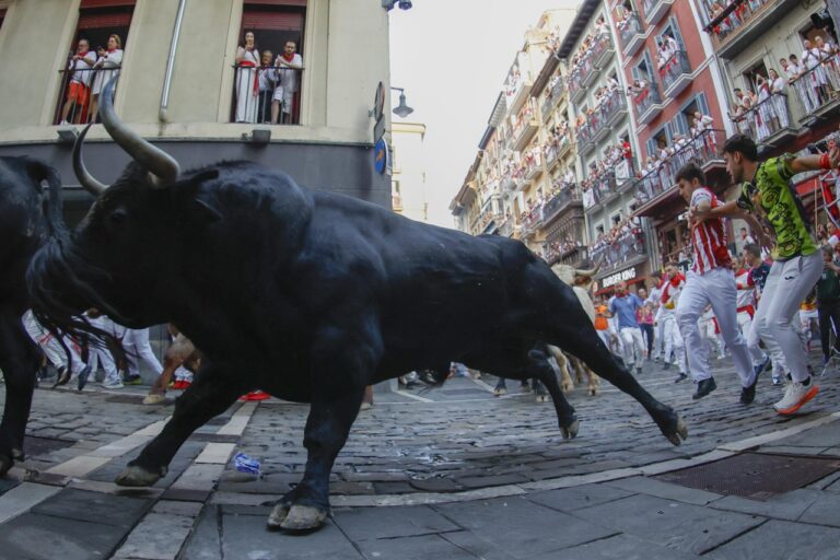 encierro corsa tori pamplona