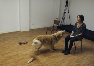 esperimento attaccamento cane
