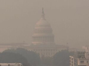 fumo incendi washington