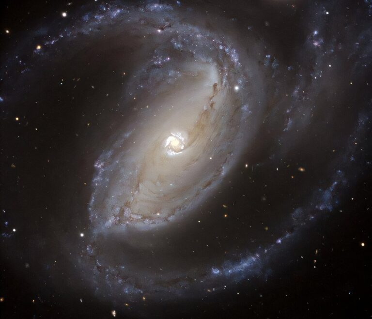 galassia NGC 1097