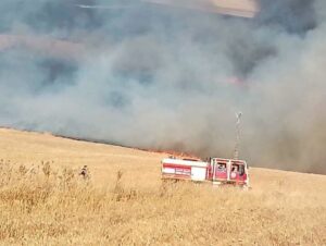 incendi algeria