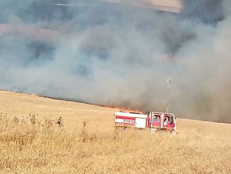 incendi algeria