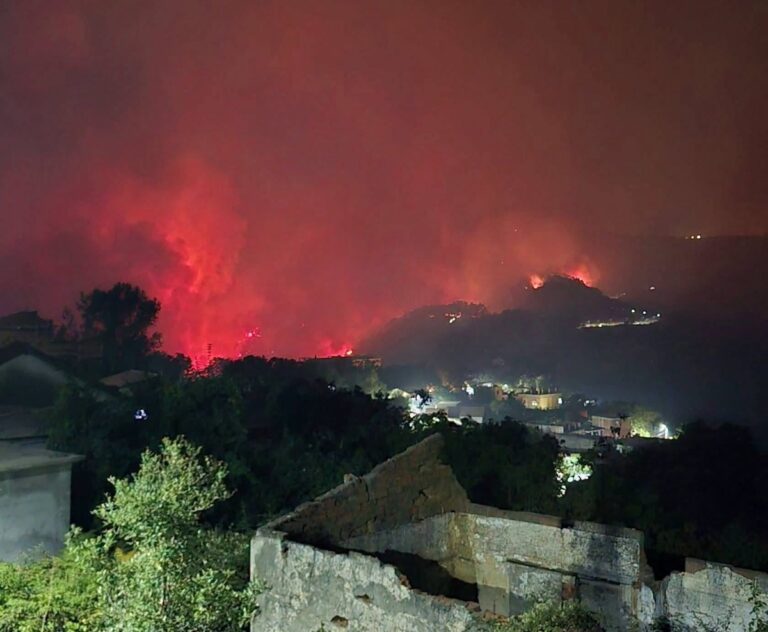 incendi algeria