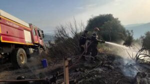 incendi algeria