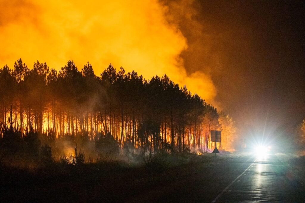 incendi boschivi francia