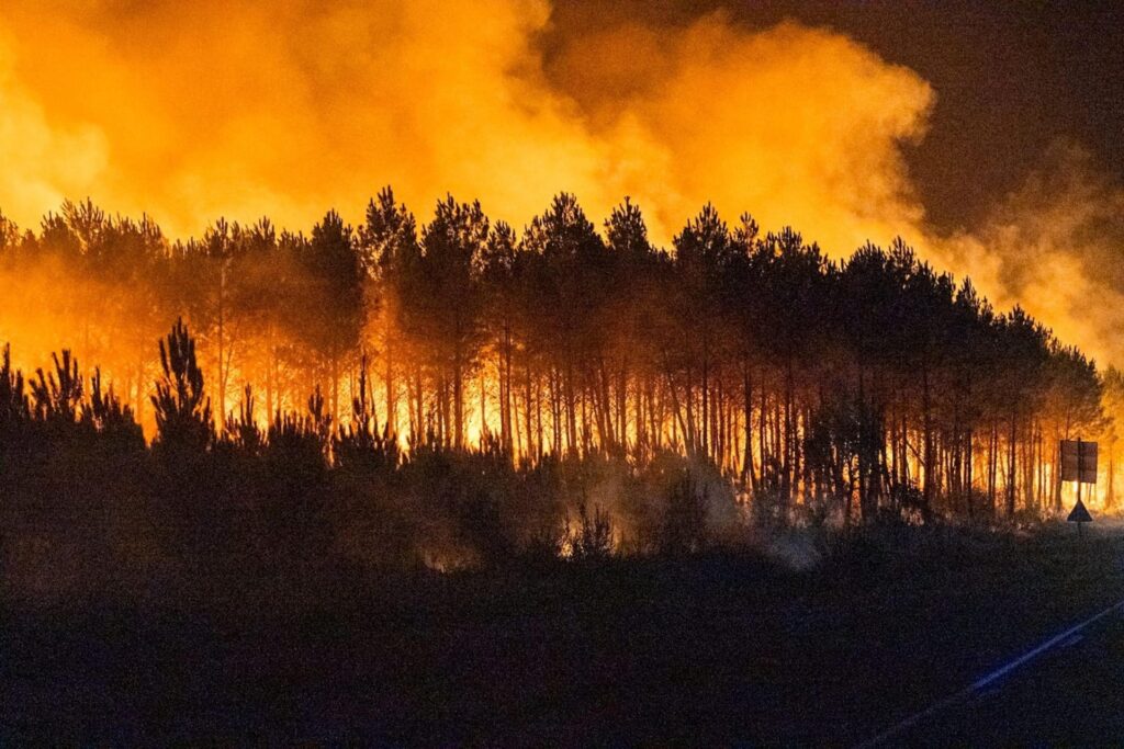 incendi boschivi francia