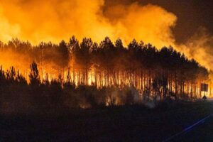 incendi boschivi francia