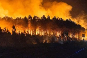 incendi boschivi francia