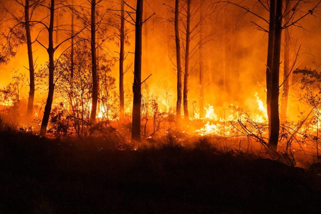 incendi boschivi francia