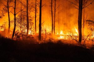 incendi boschivi francia