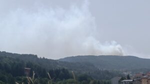incendi calabria