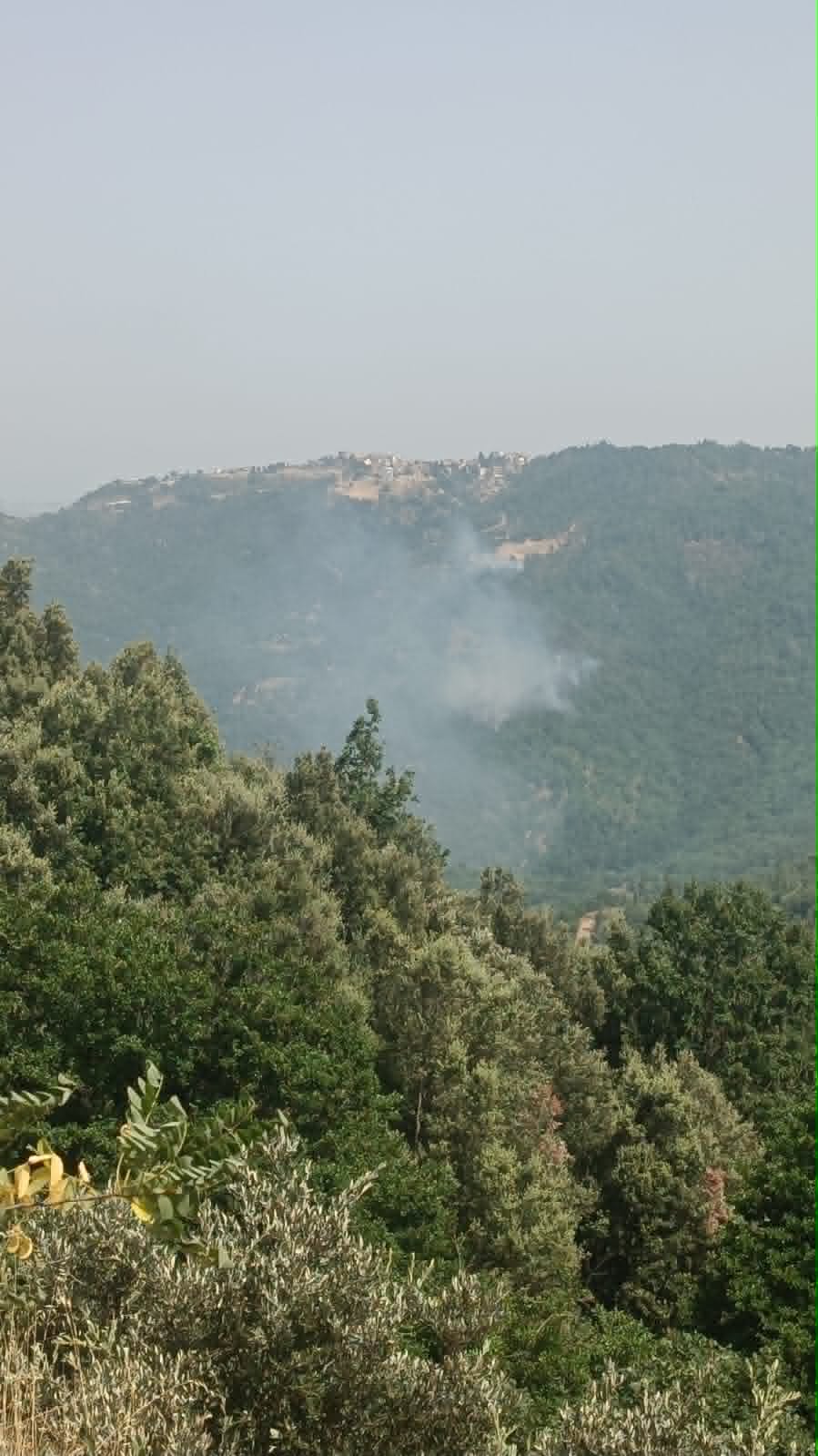 incendi calabria