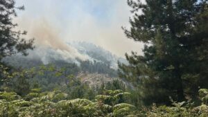 incendi corsica