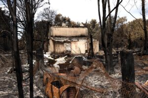 incendi francia