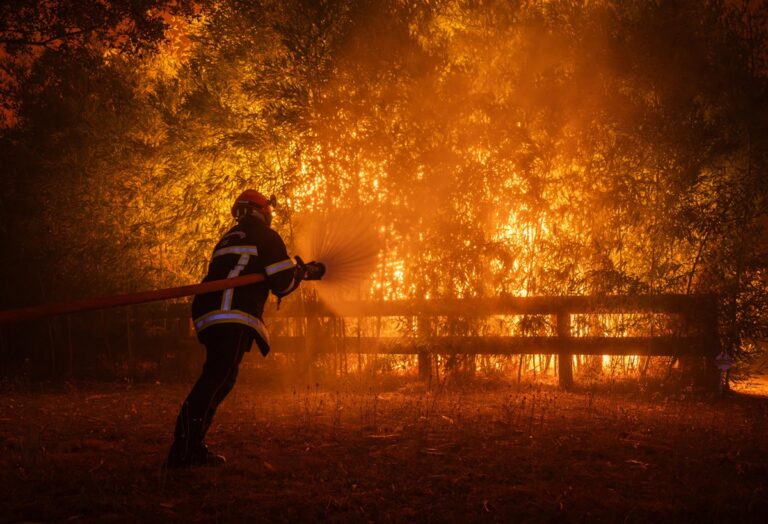 incendi francia