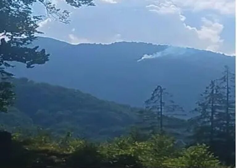 incendi friuli