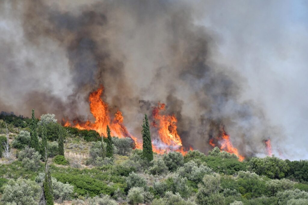 incendi grecia